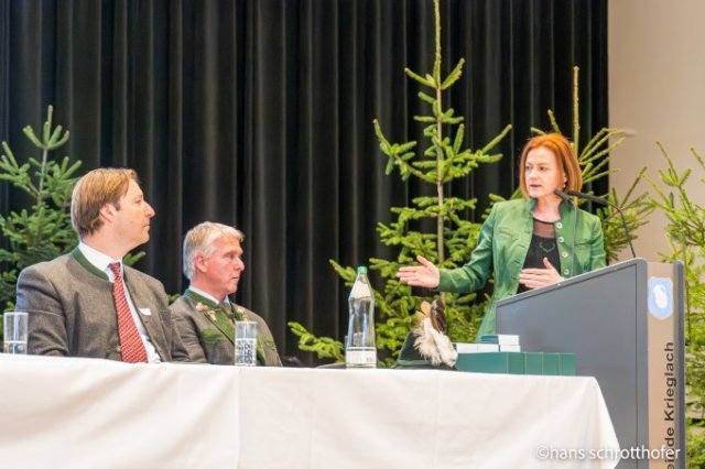Trophäenschau und Bezirksjägertag 2024
